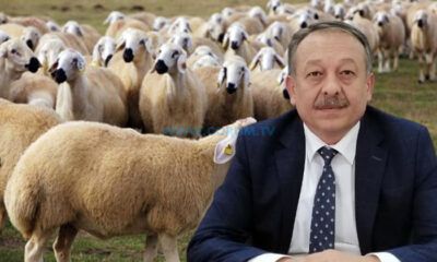 Köye Dönmek İsteyene Büyük Fırsat