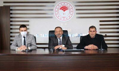 Çorum’da Koyun Irkı Güçlendiriliyor