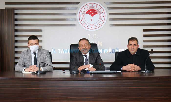 Çorum’da Koyun Irkı Güçlendiriliyor