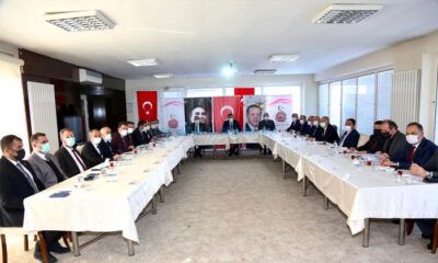 Sokak Hayvanları İçin Toplandılar