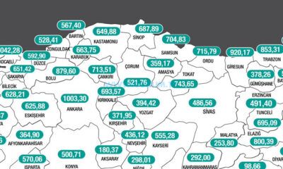 Vaka Sayısında Korkunç Artış!