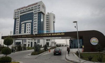 Çorum’da İki Firma Hileli Ürün Satmış