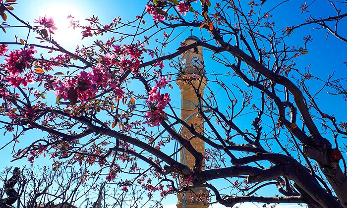 Bayramda Hava Nasıl Olacak?