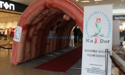 Kolon Kanserine Dikkat Çekildi