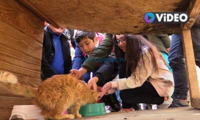 Öğrenciler, Hayvan Dostlarıyla Buluştu