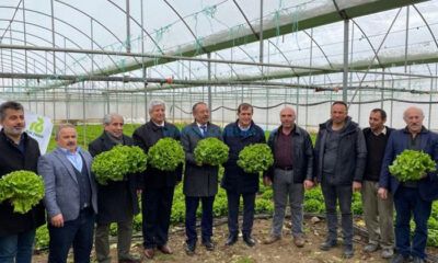 Seracılar İçin Destek Talebi