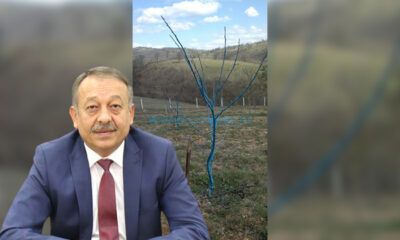 Üreticilere ‘Bordo Bulamacı’ Tavsiyesi