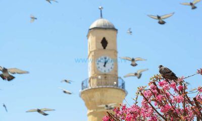 Yeni Haftada İçimiz Isınacak