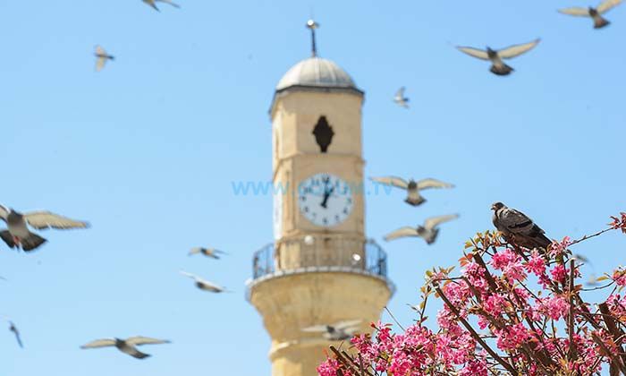 Yeni Haftada İçimiz Isınacak