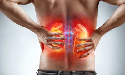 ‘Türkiye’de Her Yedi Kişiden Birinde Böbrek Hastalığı Var’