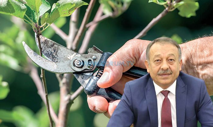 Çiftçiye ‘Meyve Ağaçlarında Budama’ Kursu Verilecek