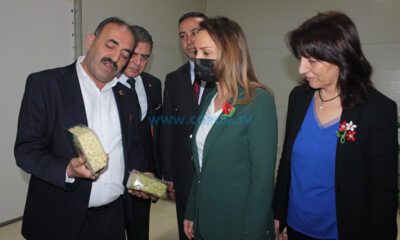 Nazlıaka, Mantı Ve Erişte Üretimini İnceledi