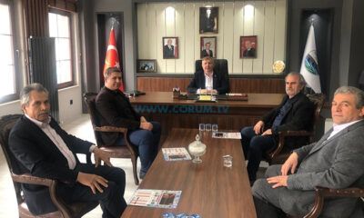 Osmancık İstişaresi