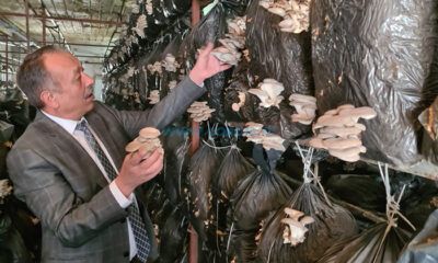 Sarı: Üreticimizin Yanındayız