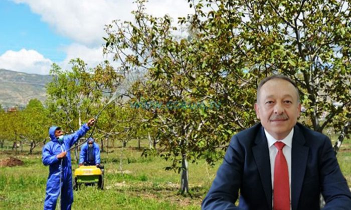 ‘Bilinçsiz İlaç Kullanımı Verimliliği Düşürebilir’