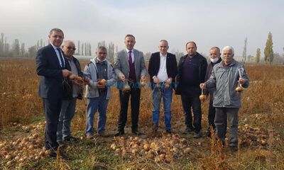 ‘Uyardık Dinlemediler, Soğanlar Çöpe Gitti’