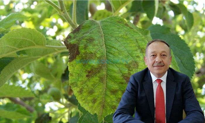 Çiftçiler, Karalekeye Dikkat!