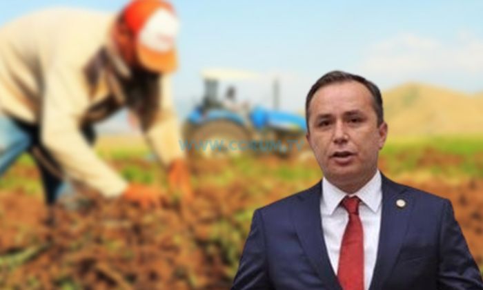 Çiftçilere 31 Milyon Liralık Destek Ödemesi