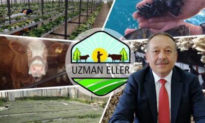 Devlet Kırsala Yatırım Yapana 100 Bin Lira Hibe Veriyor