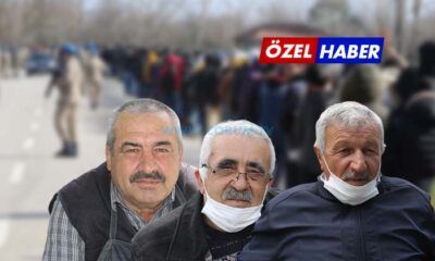 Halk Hemfikir: Gitmeliler