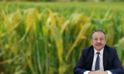 Hububat Üreticilerine Uyarı