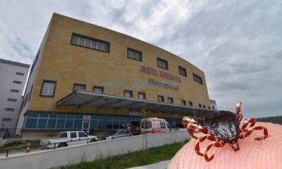 Kene Çorum’da Can Aldı