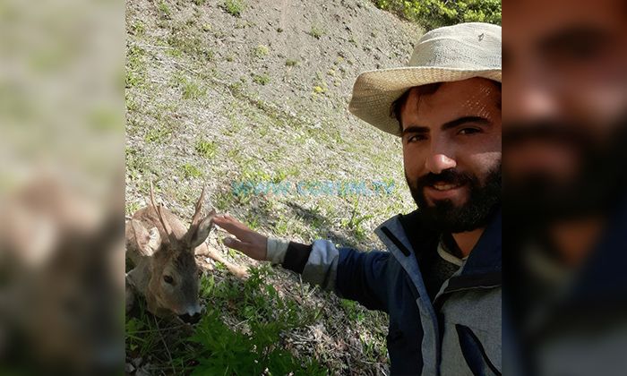 Mantar Toplamaya Çıktı, Yaralı Karaca’yı Kurtardı