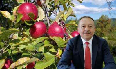 Meyve Üreticilerine İlaçlama Uyarısı