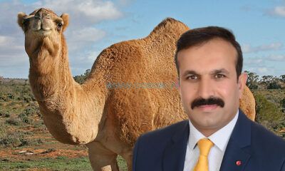 ‘Temeli Atılsın Deva Keseceğim’