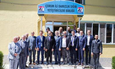 ‘Üretici Çoban Bulmakta Zorlanıyor’