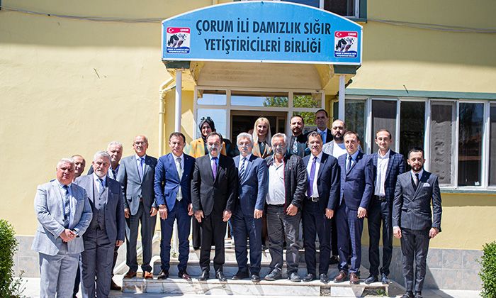 ‘Üretici Çoban Bulmakta Zorlanıyor’