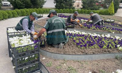 ‘Çorum, Yaza Girerken Çiçeklerle Bezeniyor’