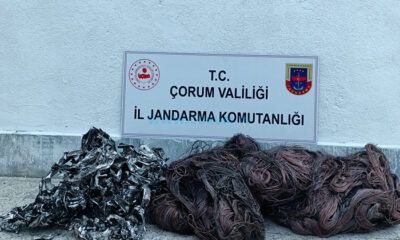 Kablo Hırsızlarını Jandarma Yakaladı