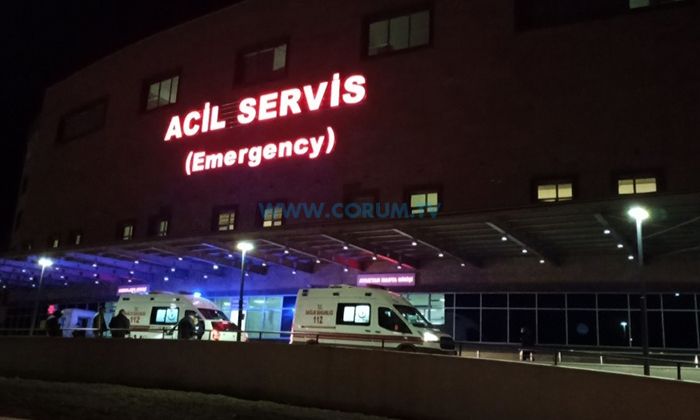 Mantardan Zehirlenen Kadın Yaşamını Yitirdi