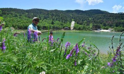 Yürüyüş Yapıp Çevreyi Temizlediler