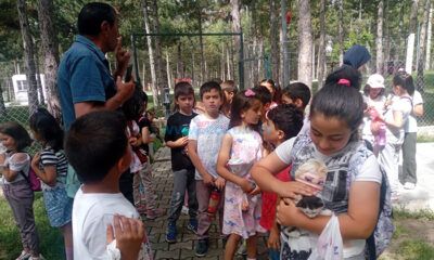 ‘Çocuklar, Evcil Hayvan Parkı’nı Çok Sevdi’