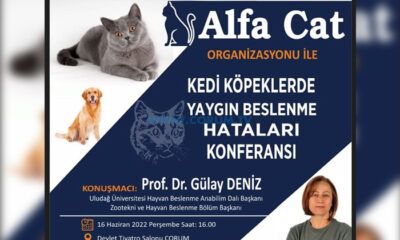 ‘Kedi ve Köpeklerde Yaygın Beslenme Hataları’ Konuşulacak