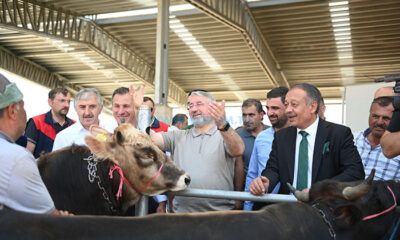 Başkan Hayvan Pazarı’nda