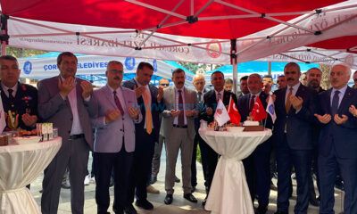 Birlik ve Beraberlik Örneği