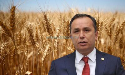 Ceylan: Çorum Çiftçisi İle Gurur Duyuyoruz