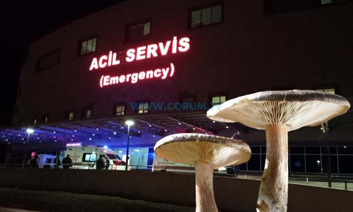 Doğadan Topladıkları Mantarlar Hastanelik Etti