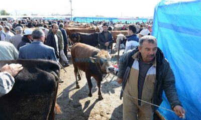 Kurban Kesim Yerleri Belirlendi