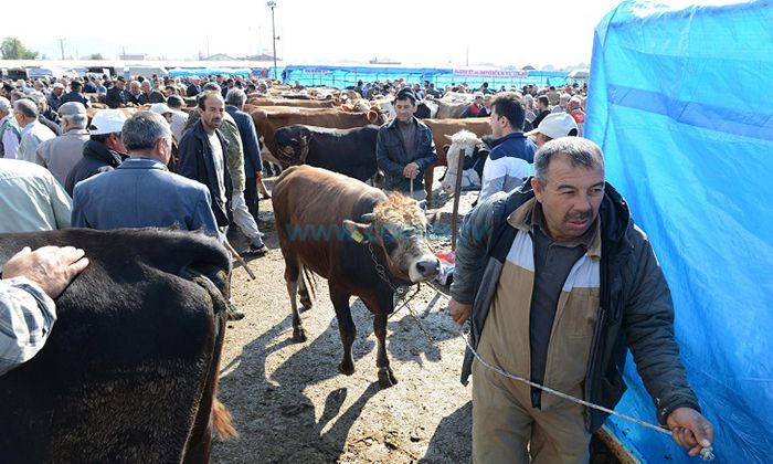 Kurban Kesim Yerleri Belirlendi