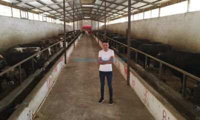 Mandırasının Çatısını Güneş Enerji Santraline Dönüştürdü