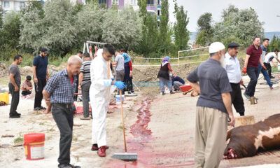 Önce Denetim Sonra Temizlik