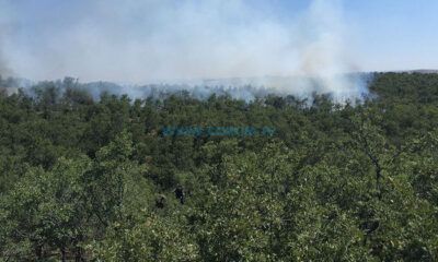 Ormanlık Alanlara Girişler Yasaklandı