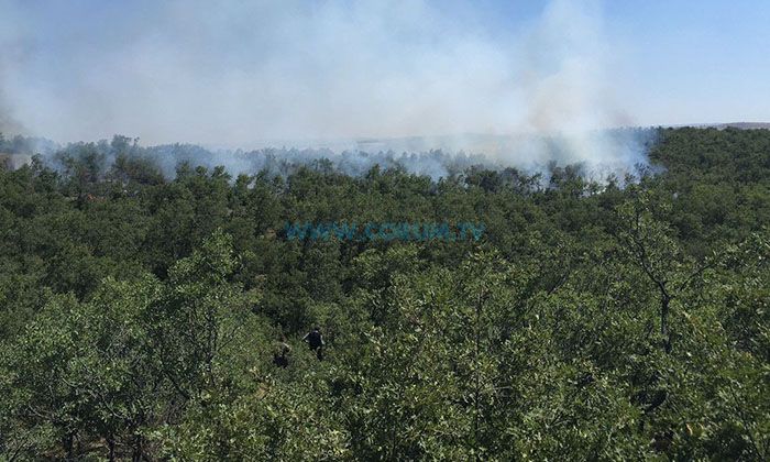 Ormanlık Alanlara Girişler Yasaklandı