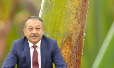 Soğan Mildiyösü Hastalığına Dikkat!