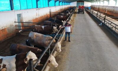 TKDK Destek Verdi, Kendi Besi Çiftliğini Kurdu