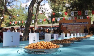 ‘Leblebinin Enleri’ Belirlendi